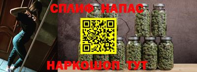 стаф Бузулук